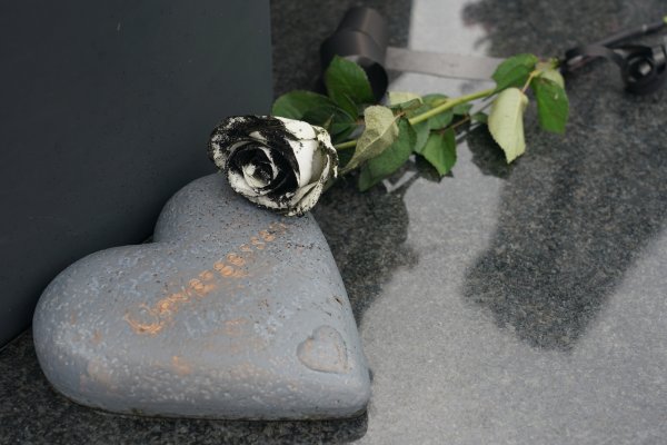 pomen-ksenija-pajcin-295002-photo-e-stock-caslav-vukojicic-1