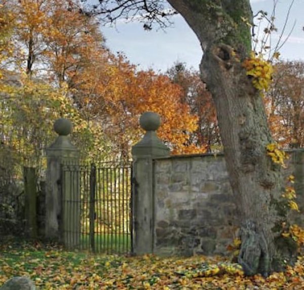 162729124-10218758114765727-8396671741472128897-n