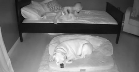 RODITELJI POSTAVILI KAMERU  U SOBI SVOG SINA NAKON ŠTO SU GA VIDJELI DA SPAVA VAN KREVETIĆA: Evo šta dječak (2) radi svake noći, NISU MOGLI VJEROVATI