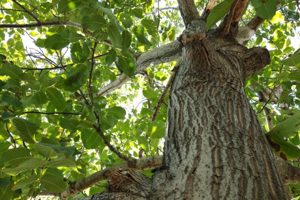 245019-shutterstock-1806037342-ls