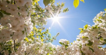 Danas počinje proljeće