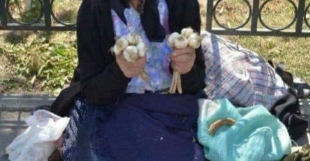 Priča: Starica i luk