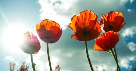 OBJAVLJEN HOROSKOP PO DANIMA ZA CIJELU SEDMICU, U ČETVRTAK BUDITE NA OPREZU: Evo šta vas čeka, DOBRO JE ZNATI