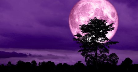 STIŽE NAM RUŽIČASTI PUN MJESEC U APRILU: Evo šta ne smijete raditi ako želite SREĆU U APRILU!