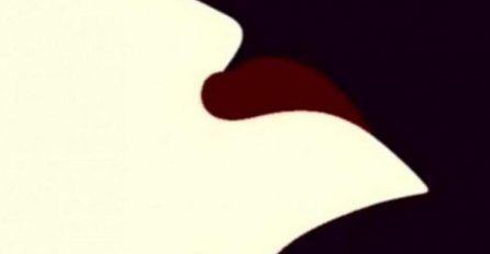 ČUDNO, ALI ISTINITO: Pogledajte sliku i recite nam KAKAV VAM JE OBLIK NOSA, sada pogledajte šta to govori o vama! MOŽETE SAMO JEDAN BROJ ODABRATI