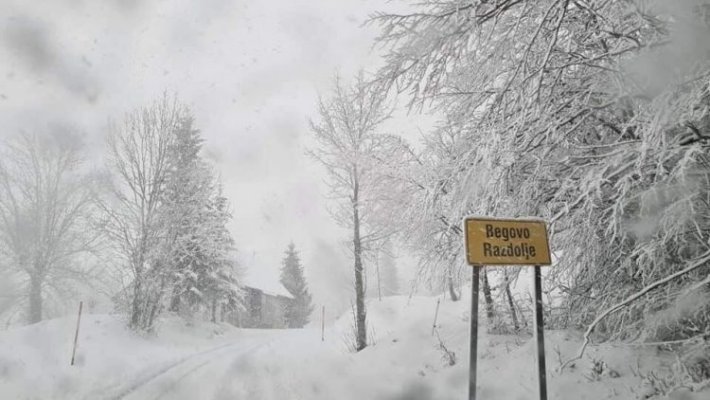 vesna-malner-750x422