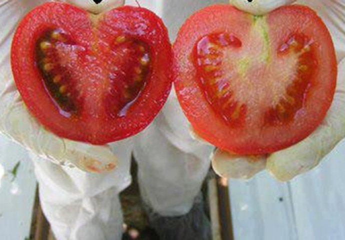 RAZLIKA JE OČIGLEDNA: Postoji trik koji otkriva koja je hrana GMO, a koja nije OVAKO ĆETE ZNATI DA SU NAMIRNICE ORGANSKE I SVJEŽE