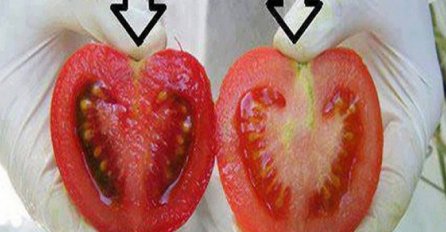 KUHAR OTKRIO TAJNU! EVO KAKO DA ZNATE DA LI JE PARADAJZ DOMAĆI ILI  "NAKLJUKAN" HEMIJOM: Uradite samo 1 stvar