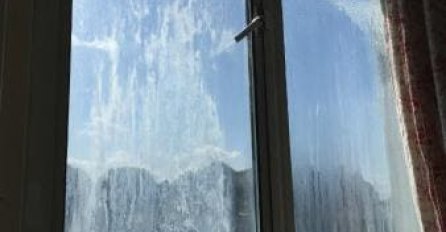 Mladi par se toga dana doselio u novu ulicu