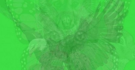 OVO JE NAJTAČNIJI TEST LIČNOSTI! RECITE NAM KOJU ŽIVOTINJU STE PRVU UGLEDALI: Pogledajte šta to otkriva o vama, SVIMA JE POGODILO