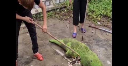 PRIMIJETILI SU DA SE PLIŠANA IGRAČKA POMJERA: Kad su je otvorili i vidjeli šta je unutra, pretrnuli od straha (VIDEO)