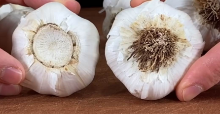 PREPOZNAJTE DA LI SU VAM PODVALILI BIJELI LUK PUN HEMIJE: Ovako nas varaju čak i na pijaci, 4 signala otkrivaju pesticide!