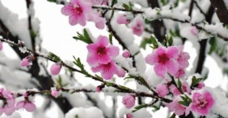 PROLJEĆE NA PAUZI, METEOROLOZI NAJAVILI! Bit će još snijega u aprilu