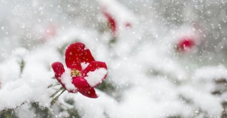 STARO NARODNO VJEROVANJE OTKRIVA, EVO NA ŠTA SLUTI SNIJEG U APRILU: Ovo se ne dešava često- SADA JE SVE JASNO