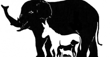  KOLIKO ŽIVOTINJA VIDITE NA SLICI? TEŠKO DA ĆETE POGODITI TAČAN BROJ: Samo rijetki su uspjeli