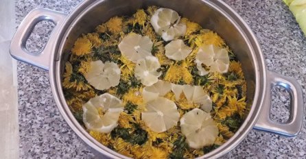 JAČA IMUNITET, ČISTI KRV I JETRU, A LAKO MOŽETE DA GA NAPRAVITE SAMI: Med od maslačka je pravo BLAGO za zdravlje