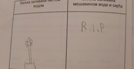ZBOG OVOG ZADATAKA UČENIKA IZ SRBIJE SVI SU OPLAKALI OD SMIJEHA: Dobio zadatak da nacrta kako će biljka izgledati nakon 7 dana ZALIJEVANJA - POGLEDAJTE NJEGOV ODGOVOR (FOTO)