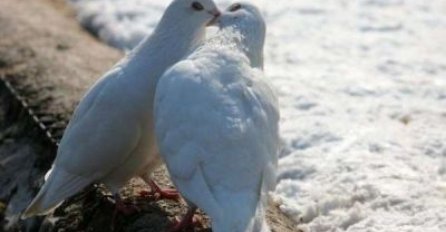 Poučna priča: Tajna sretnog braka