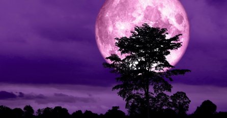 RUŽIČASTI SUPERMEJSEC DONOSI PREOKRET U LJUBAVI! Moćan astro period stiže KRAJEM APRILA - evo šta treba da URADITE