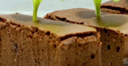 PRAVO RJEŠENJE JE STIGLO: Čokoladni kolač koji POMAŽE PRI MRŠAVLJENJU - lako se pravi, još brže jede! (VIDEO)