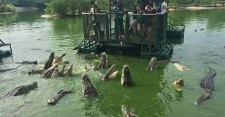 Poučna priča: Farma krokodila