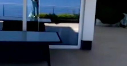 SAŠA POPOVIĆ PRVI PUT POKAZAO STAN U HRVATSKOJ, platio ga 300.000 eura: BAZEN, TERASA, POGLEDA NA MORE - SVE PRŠTI OD LUKSUZA