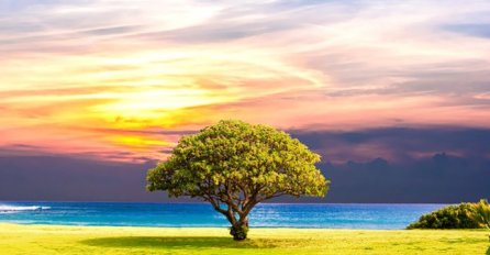 OBJAVLJEN VELIKI HOROSKOP ZA MAJ, PROGNOZA ZA SVE ZNAKOVE ZODIJAKA: Jednom se smiješi sreća, OVAJ ZNAK NEK SE PRIPAZI