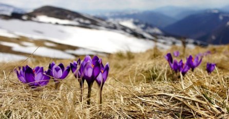 OBJAVLJEN HOROSKOP ZA NAREDNIH 7 DANA, DANAS JE POSEBNO VAŽAN DAN: OBRATITE pažnju na 1 stvar, DONOSI PROMJENE 