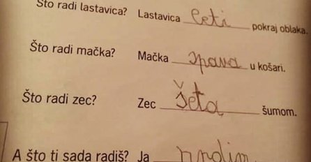 ODGOVOROM NALJUTIO UČITELJICU I RODITELJE: Evo šta je učenik napisao u zadnjem pitanju koje je dobio za zadaću, HIT NA INTERNETU
