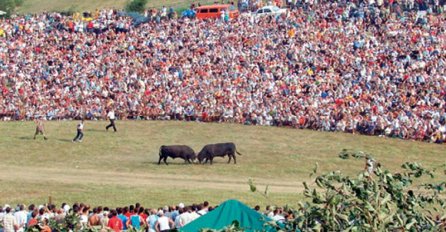 I ove godine bez tradicionalne koride u Čevljanovićima