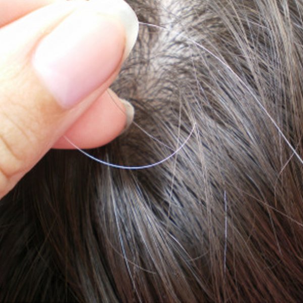 myth-or-fact-plucking-gray-hair