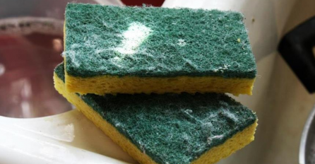 STRUČNJACI UPOZORILI: Kuhinjska spužva je pravo leglo za bakterije EVO KOLIKO PUTA JE MORATE MIJENJATI 