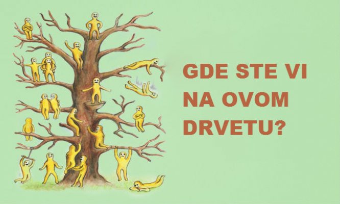 preview-650x390-650-1437740193