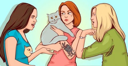 DOBRO POGLEDAJTE, KO JE VLASNIK OVE MAČKE? Jedan detalj otkriva ISTINU!