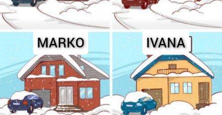 SAMO ZA PRAVE DETEKTIVE: Dogodila se krađa, ko je lopov?