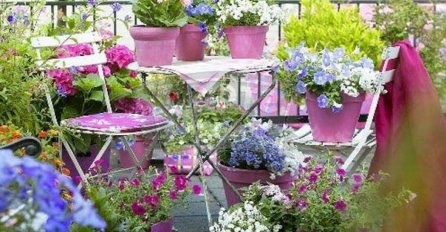 MOGUĆE JE IMATI BALKON PUN CVIJEĆA I TOKOM JESENI: Ovim biljkama mraz, ni niske temperature ne mogu ništa! (FOTO)