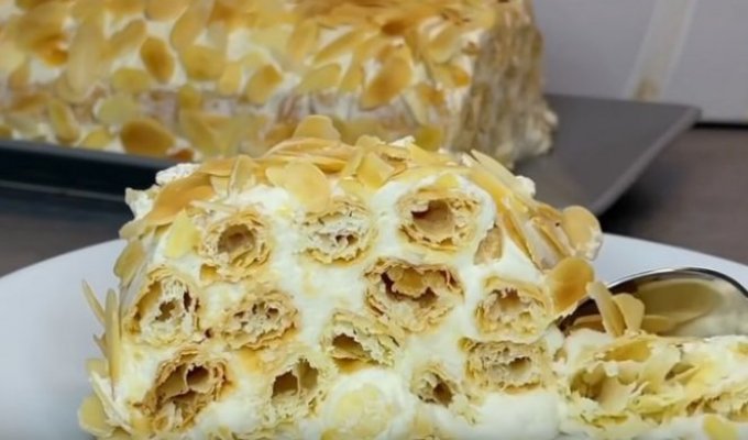 436063-bez-naslova-f