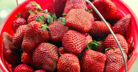 KAKO DA RAZLIKUJETE UVOZNE JAGODE OD DOMAĆIH? Obratite pažnju na JEDAN detalje!