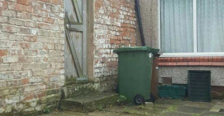 VIDITE LI MACU NA SLICI? TRAŽI JE CIJELI SVIJET A NE MOŽE JE NAĆI BAŠ NIKO: Sakrila se u dvorištu, VIDITE LI VI? 