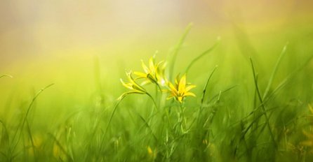 VELIKI HOROSKOP ZA MAJ, OBJAVLJENA PROGNOZA ZA SVE ZNAKOVE ZODIJAKA: Dolaze velike promjene, DOBRO JE ZNATI