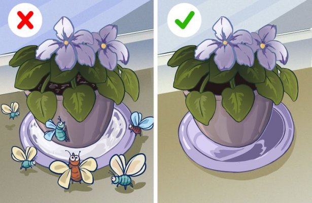 e0100855179262c8d40ebc0cf8