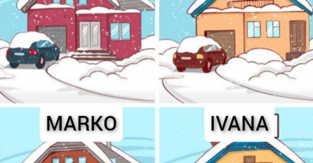 SAMO ZA PRAVE DETEKTIVE, RIJEŠITE NAJTEŽU MOZGALICU DO SADA: Dogodila se krađa, ko je lopov?