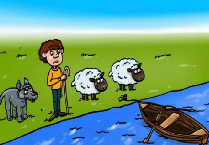 MOZGALICA: Kako prevesti ovce i vuka na drugu stranu, ako jedna životinja može u čamac?
