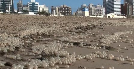 Plažu u Argentini prekrila "biserna jaja", evo o čemu se radi