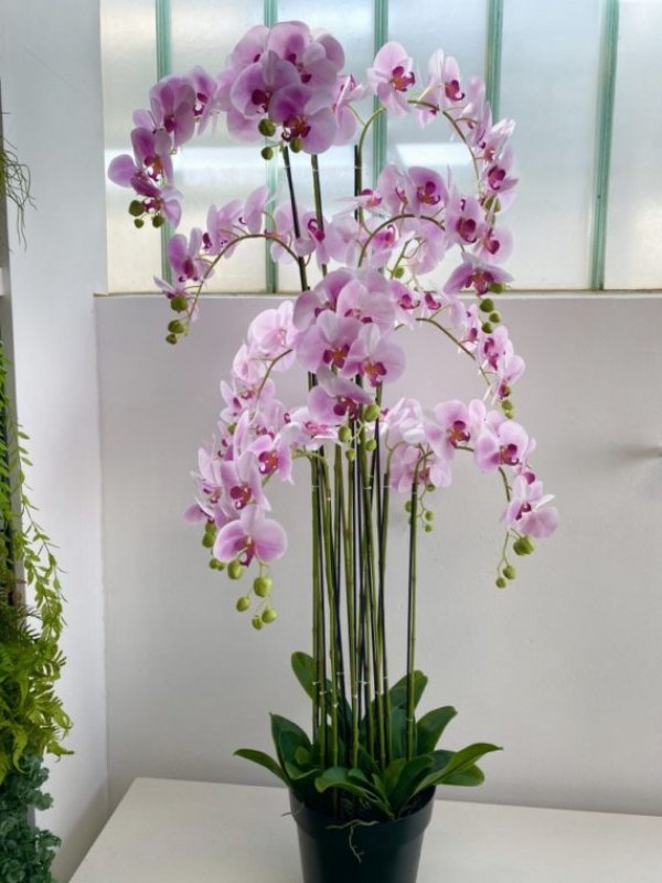 img-e1018-scaled-e1583406416364-570x760