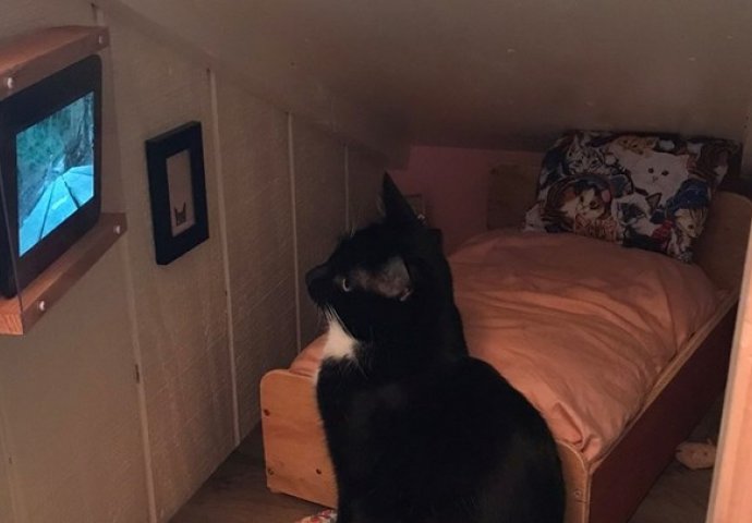 Vlasnik mački izgradio posebnu spavaću sobu, ima čak i svoj televizor