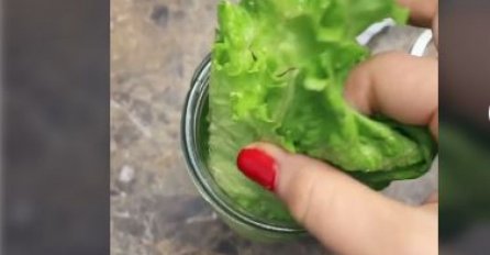Otkrila jednostavan trik pomoću kojeg zelena salata ostaje svježa i do mjesec dana: Da li ste znali za ovo?