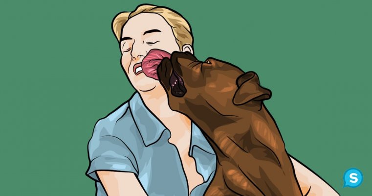 dog-lick-owner