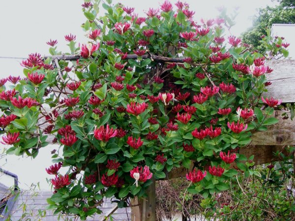 9366978279-c612ac1acb-b