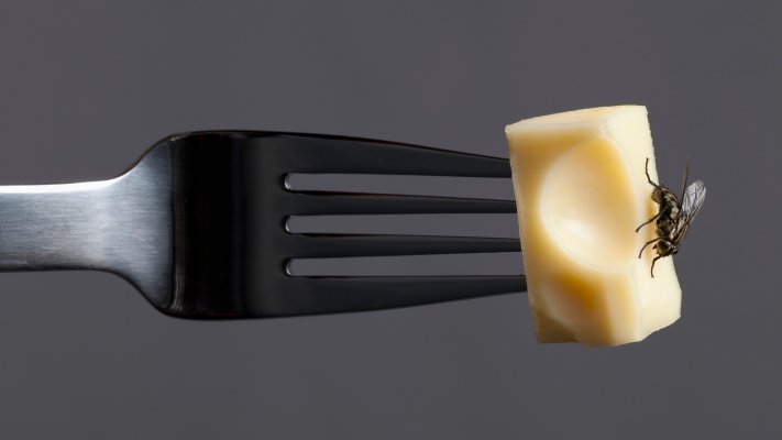 1525984821266-gettyimages-154322095